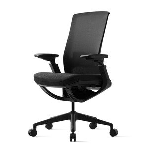 Kancelárska ergonomická stolička ROLY BLACK – sieťovina, viac farieb Čierná